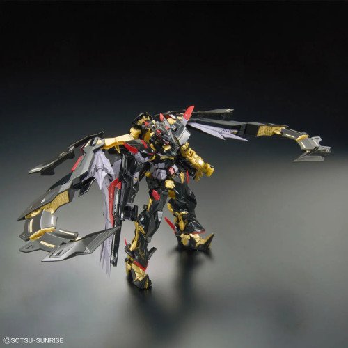 Gundam Astray Goldframe Amatsu Mina RG Bandai Model Kit