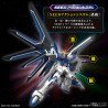 Rising Freedom Gundam HG Bandai Model Kit