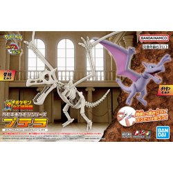 Aerodactyl Pokemon Bandai Model Kit