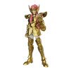 Champion Class Saint Seiya: Aquarius Camus Blokees – (Novedades)